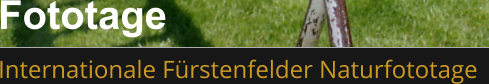 Fototage  Internationale Fürstenfelder Naturfototage