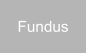Fundus